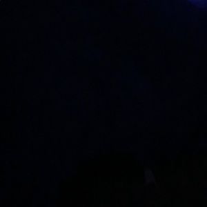 Meet your Posher, Erroll